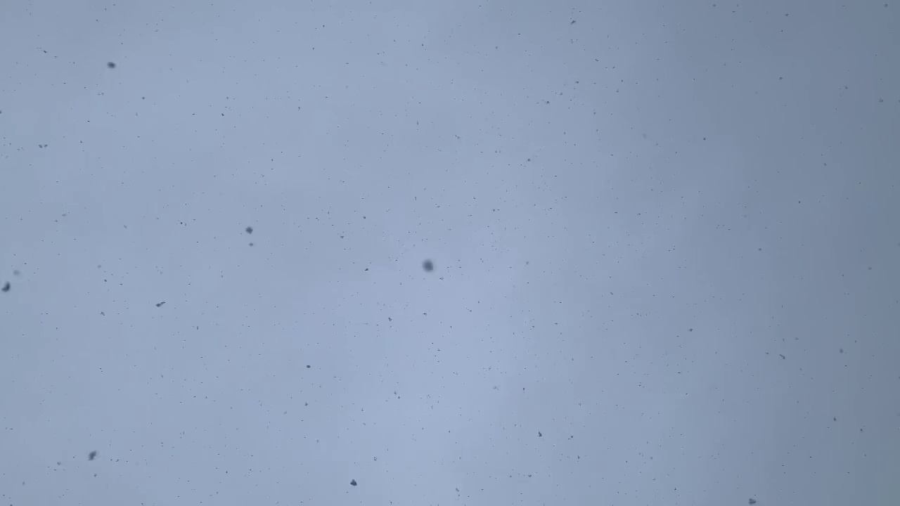 上萨瓦省的雪花从天而降的4K无声视频视频下载