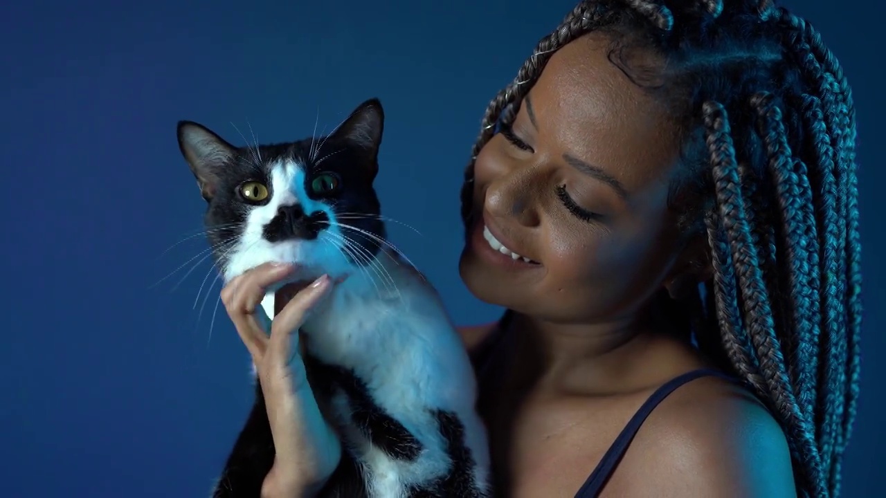 黑人女人抱着一只猫视频下载