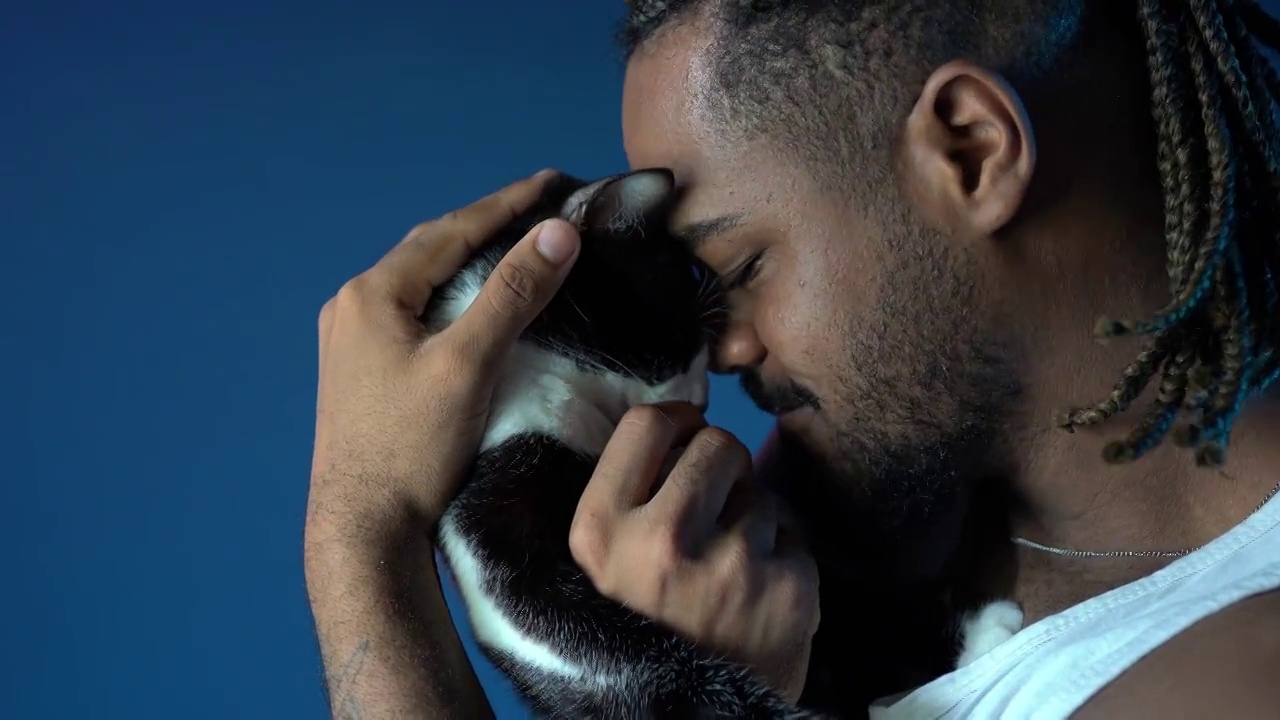 一个非洲人抱着一只猫视频下载