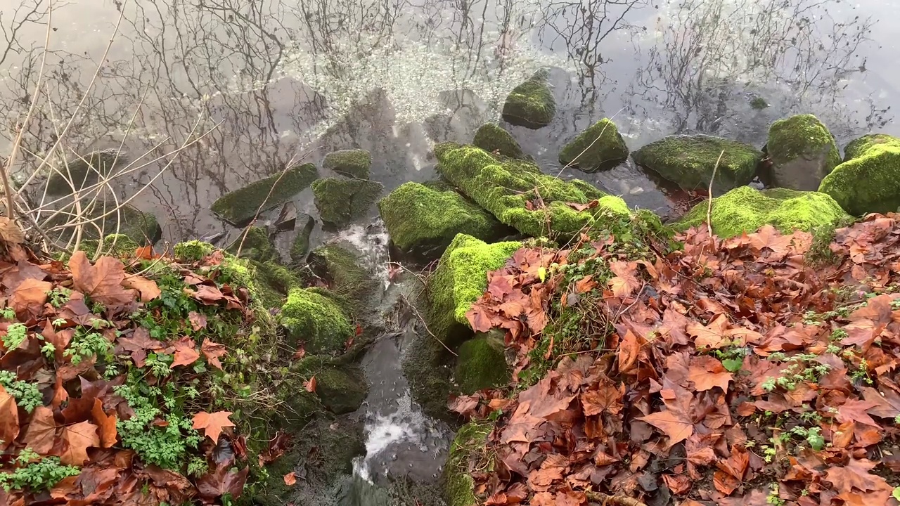 在冬天，日内瓦湖岸边的小溪上播放着4K视频和声音视频素材
