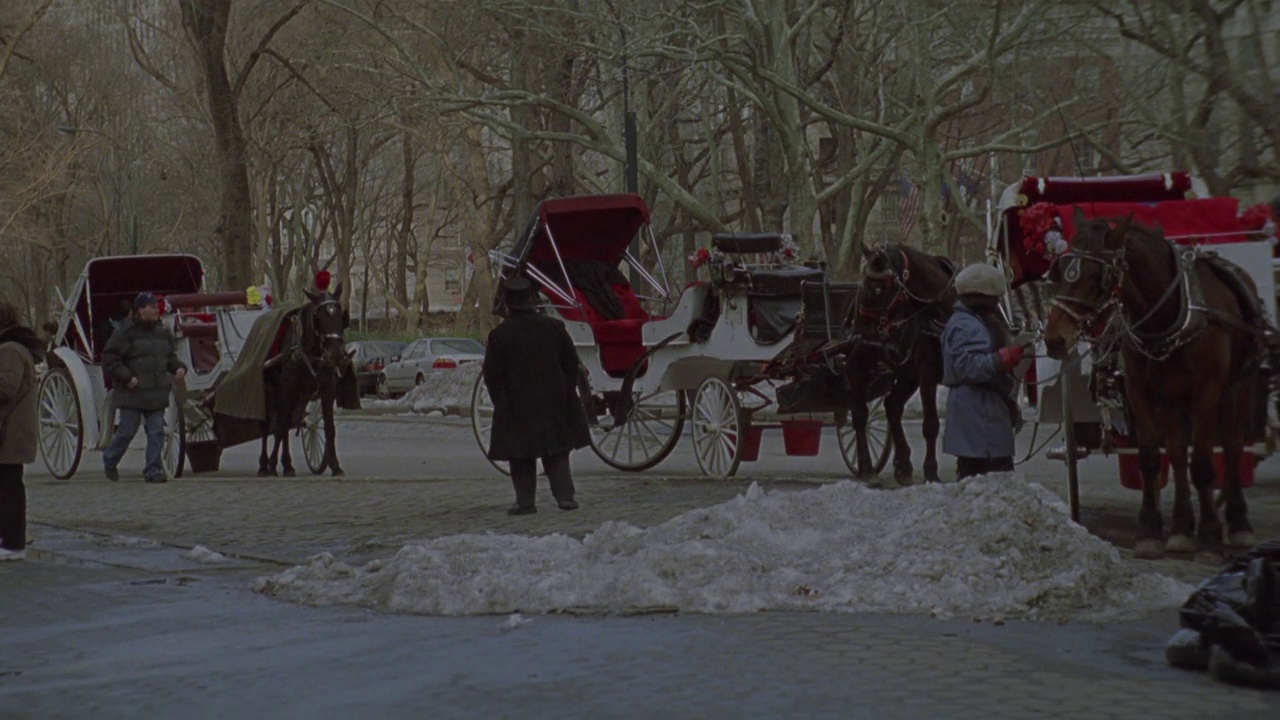 纽约中央公园的马车的中等角度。马和车轮通过摄像机。黄色出租车和其他车厢在bg。视频下载