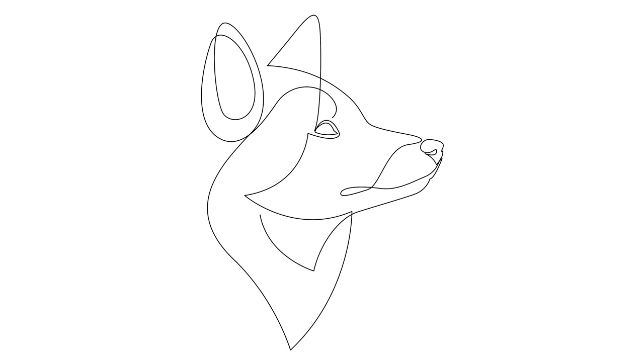 自画狐单连续单线画简单动画。手绘，在白色背景上画黑线。视频下载