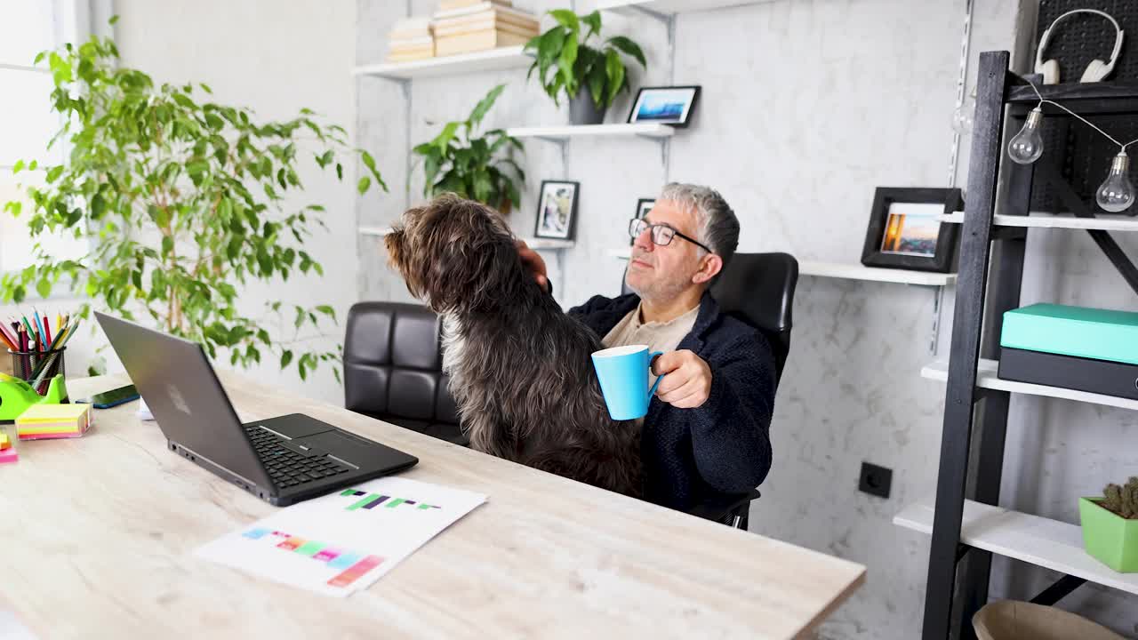 在家庭办公室，当他的宠物狗在他腿上享受的时候，他喝着咖啡视频下载
