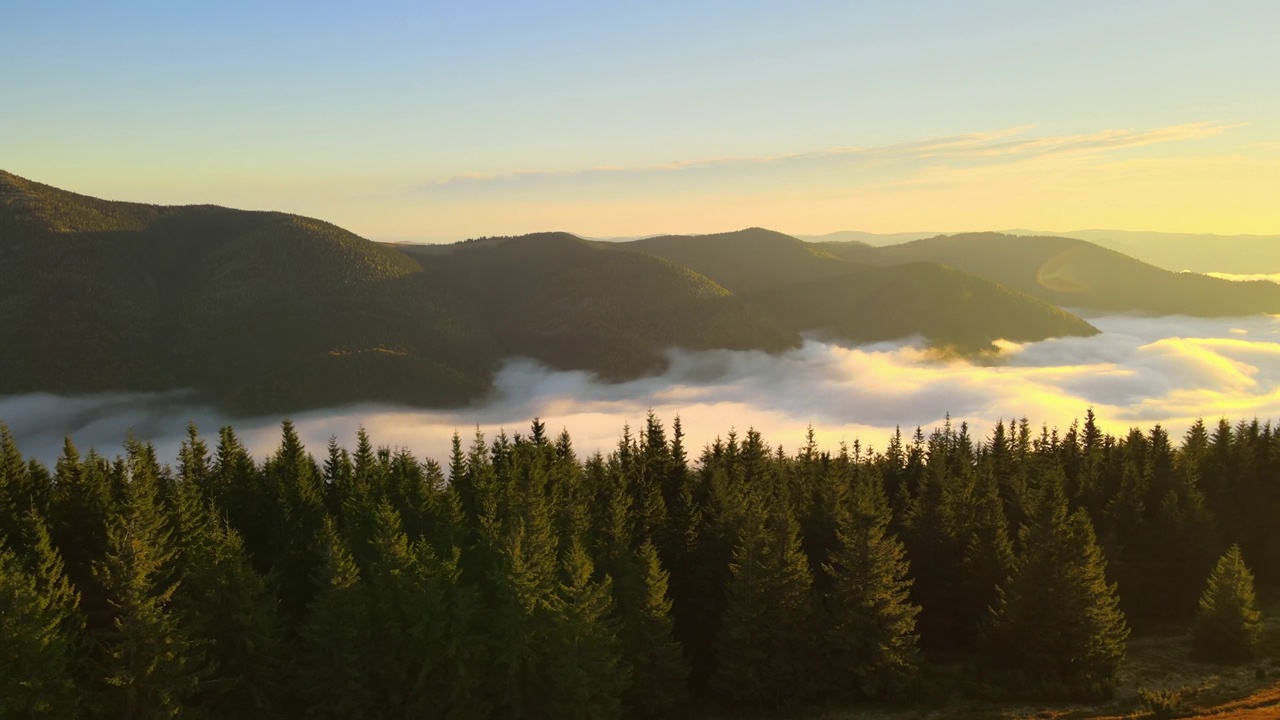 秋季日出时，从空中俯瞰明亮的雾蒙蒙的早晨，俯瞰黑暗的山林树木。黎明时分的野生森林的美丽景色视频下载