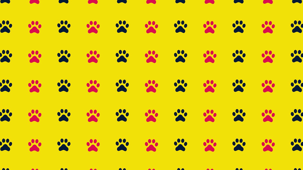 黄色背景上黑色和粉红色猫爪的彩色图案。无缝猫爪图案。前视图。狗、猫的脚印背景。4 k视频运动视频素材