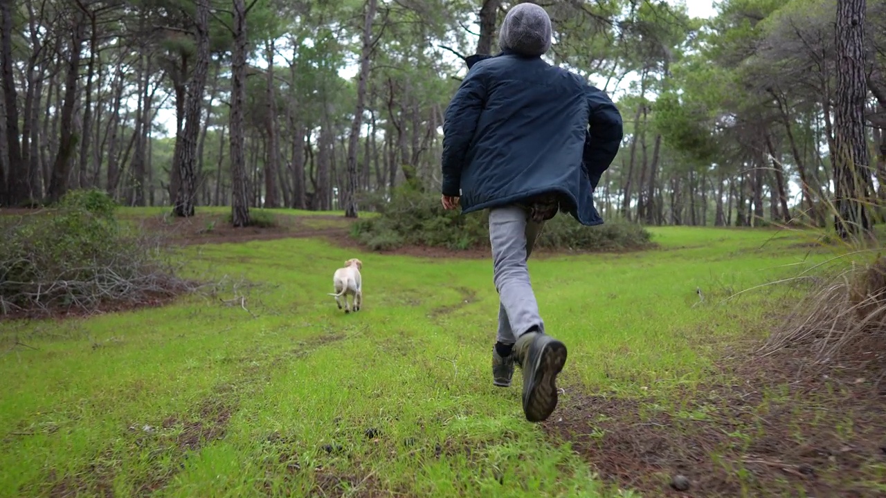 一个十几岁的男孩和他的金毛猎犬在树林里玩耍奔跑。视频下载