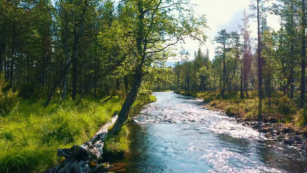 在一个阳光明媚的夏日里，一条流经芬兰拉普兰偏远森林的河流视频下载