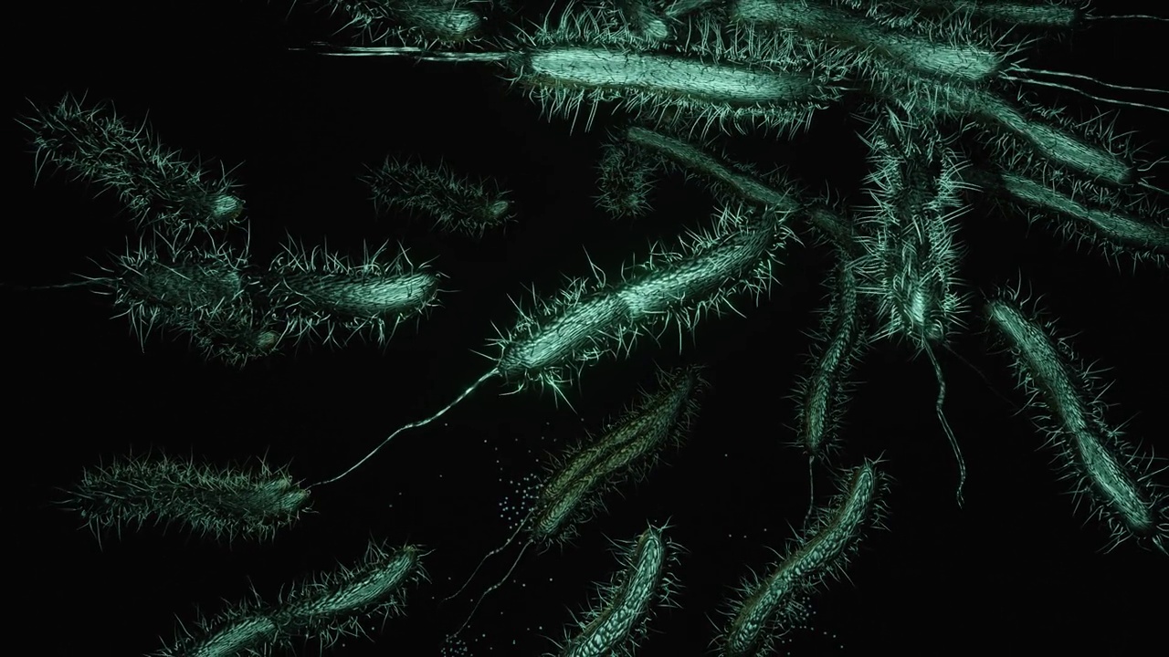 细菌在脏水里游泳的3d动画。视频素材