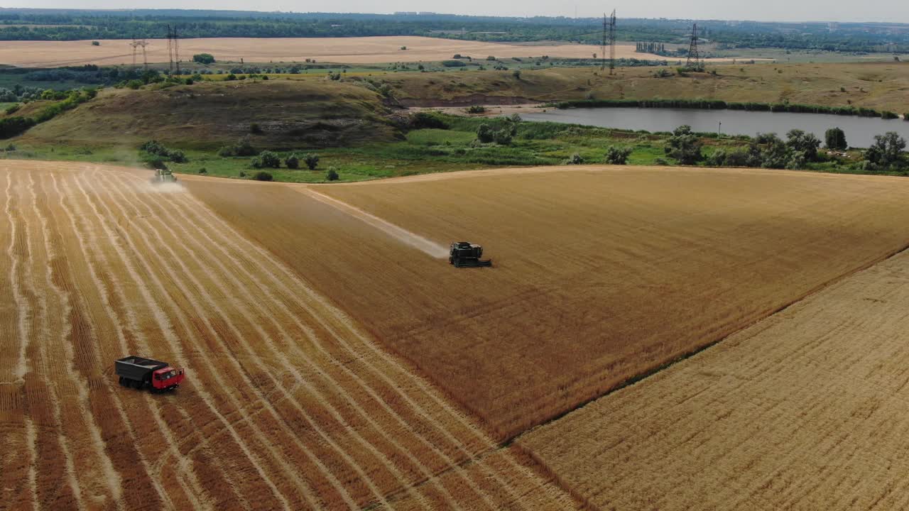 乌克兰田里联合收割机的航拍照片。在麦田里工作的收割机。联合农机收获金黄成熟的麦田。视频下载