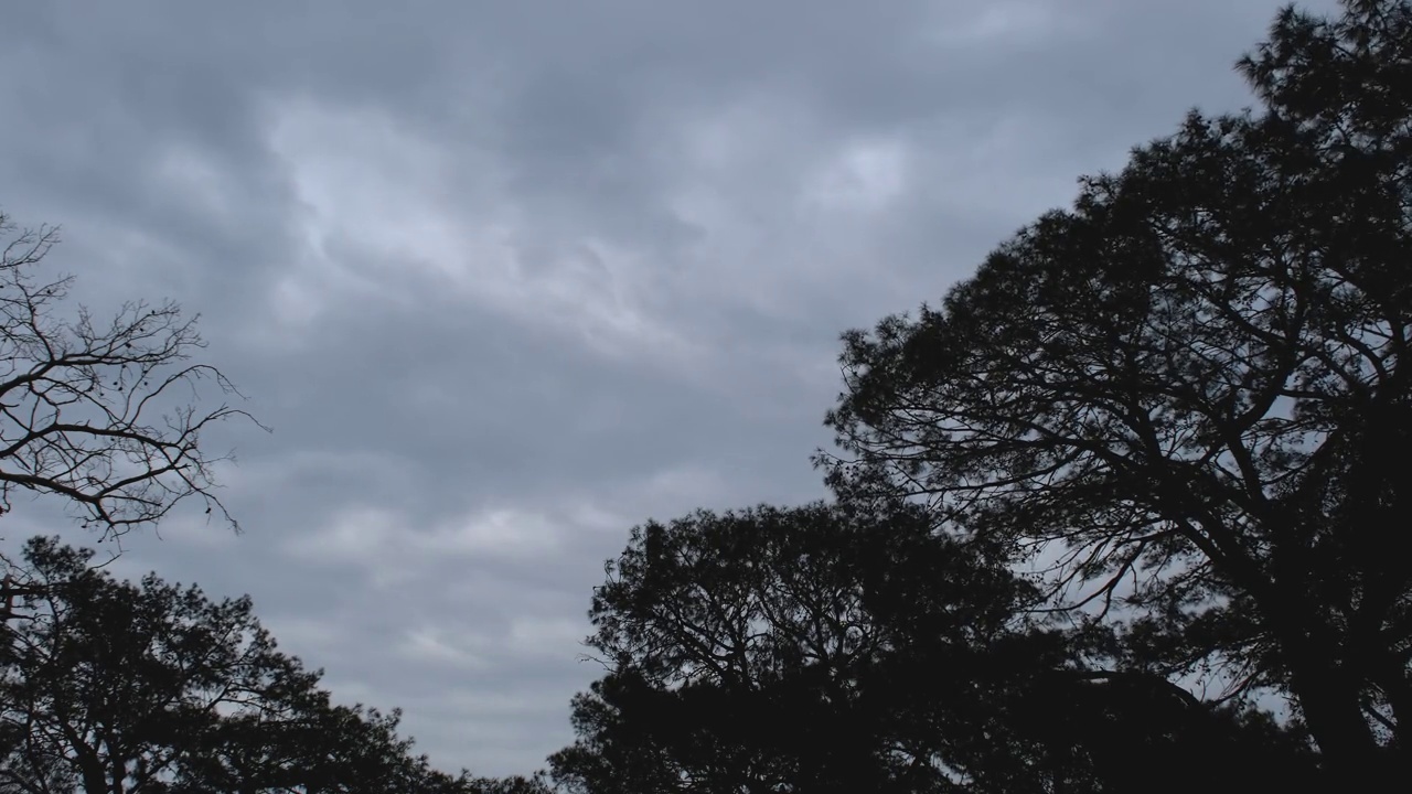 云朵在树林间流动视频素材
