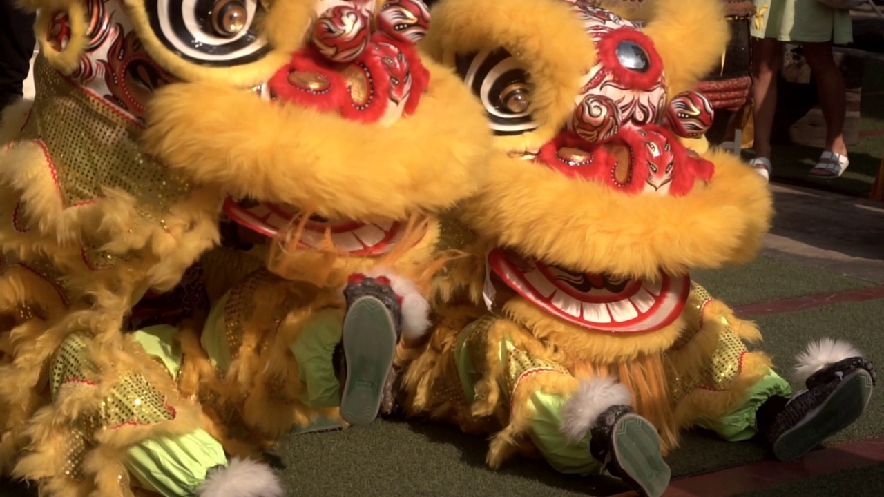 中国舞狮表演，农历新年喜庆。视频下载