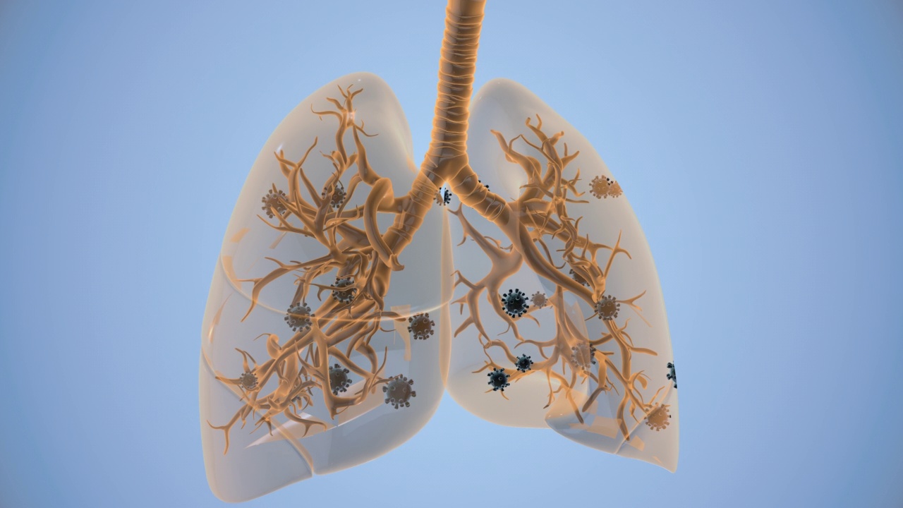 人类肺部的冠状病毒传播背景视频素材