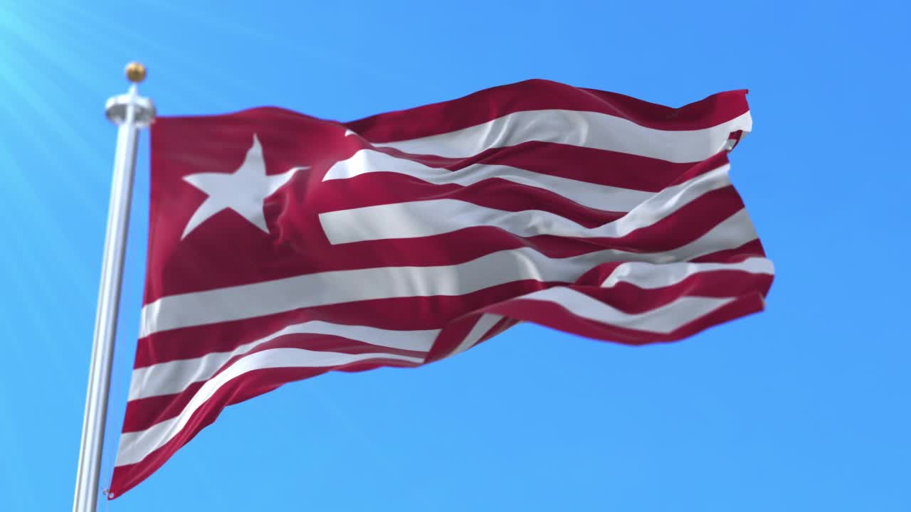 詹姆斯·长旗，美国德克萨斯第二共和国。循环视频素材