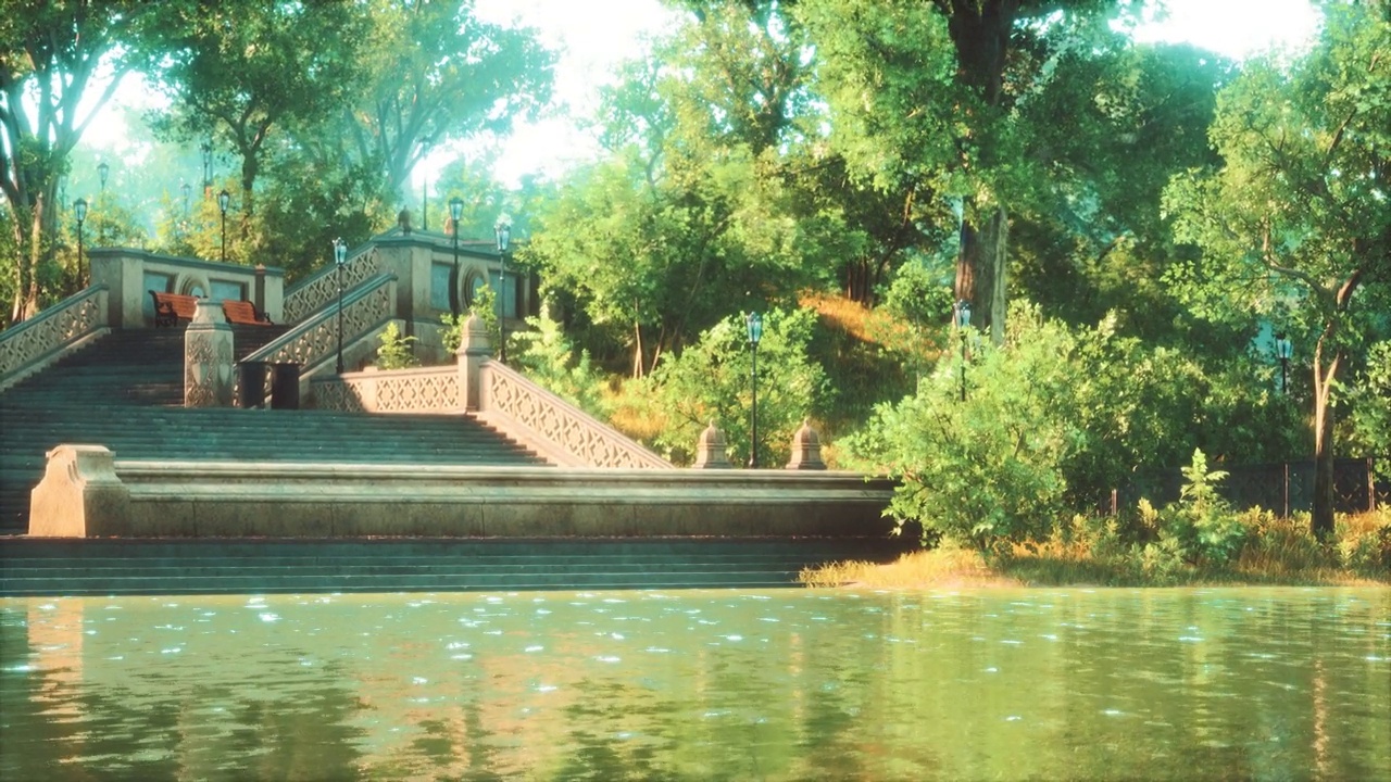 宁静的池塘框架郁郁葱葱的绿色林地公园在阳光下视频下载
