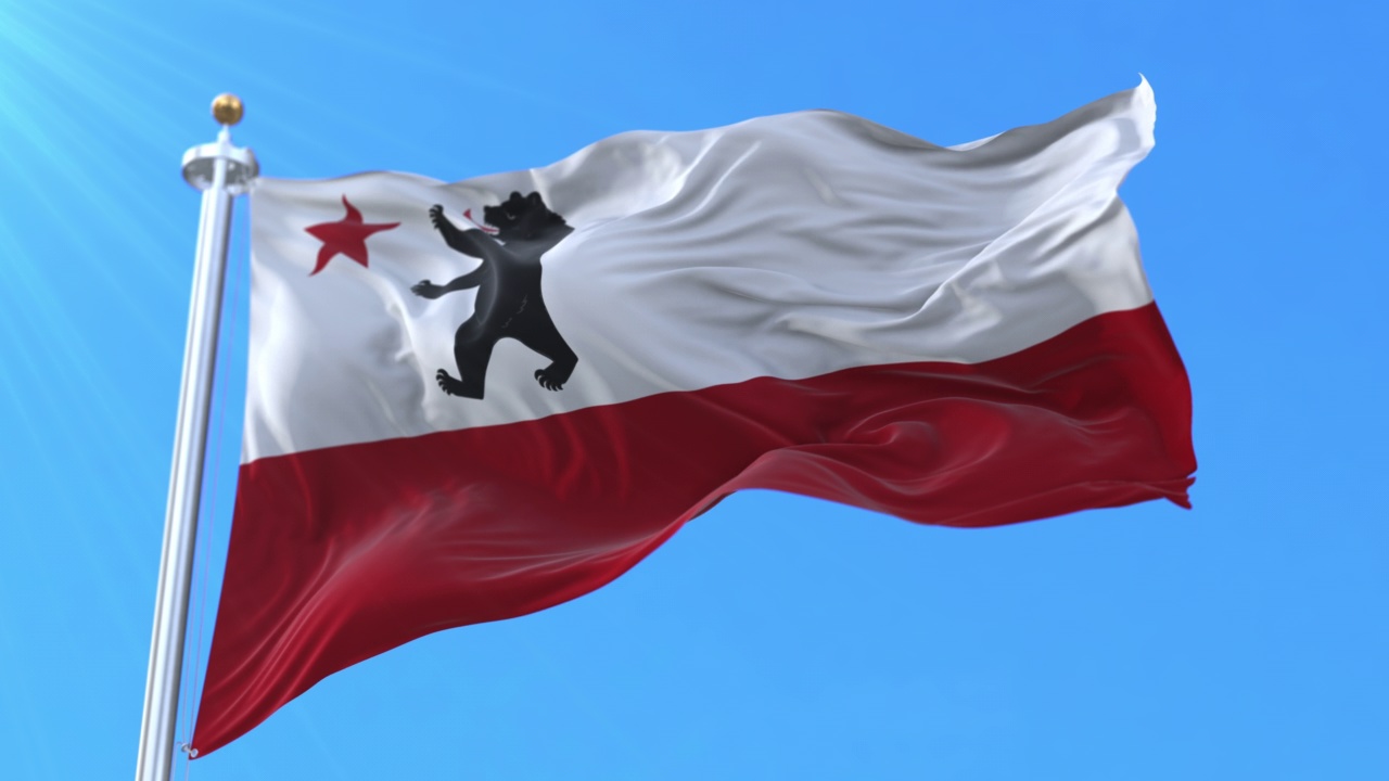 风暴熊旗帜，加利福尼亚，美国。循环视频素材