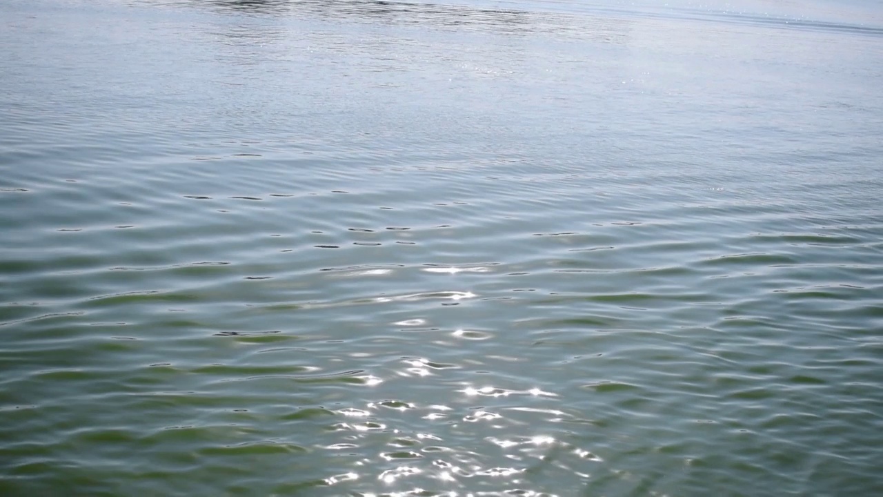 抽象的背景，湖的水波纹闪耀着阳光。自然背景。夏天湖视频素材