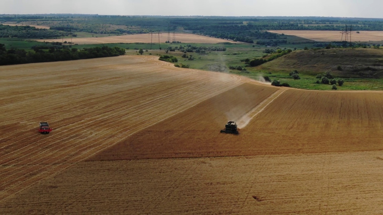 乌克兰马里乌波尔田里的联合收割机的航拍照片。在麦田里工作的收割机。联合农机收获金黄成熟的麦田。视频下载