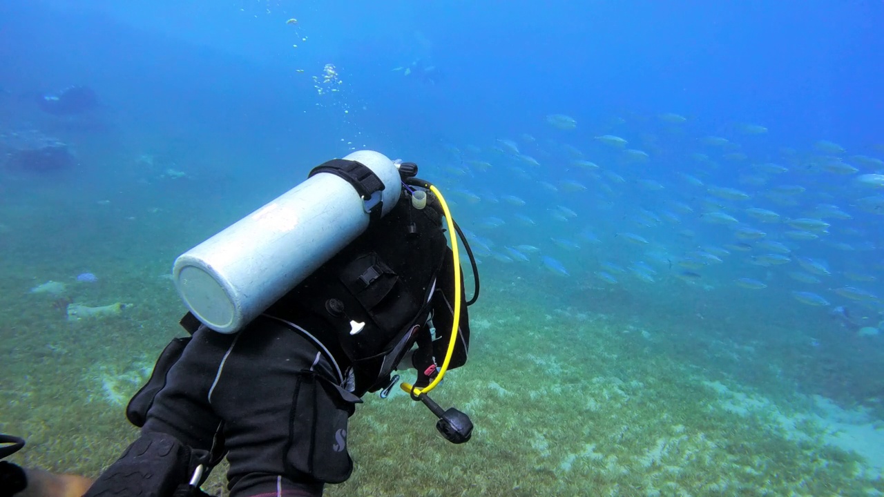一名男子在海洋中潜水的4k视频片段视频下载