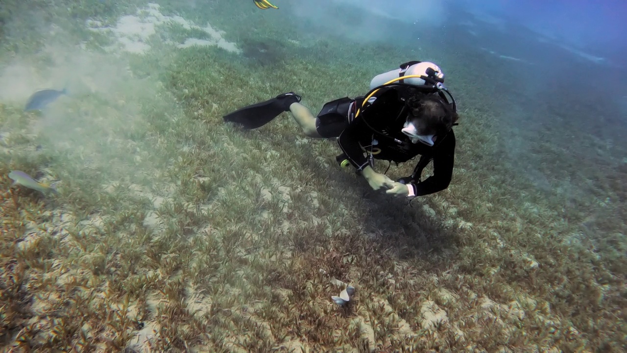 两名男子在海洋中潜水的4k视频片段视频下载