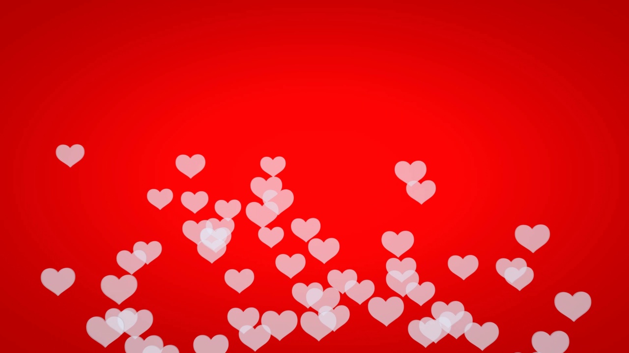 透明的白色心形漂浮在红色节日背景上。情人节，2月14日。视频素材