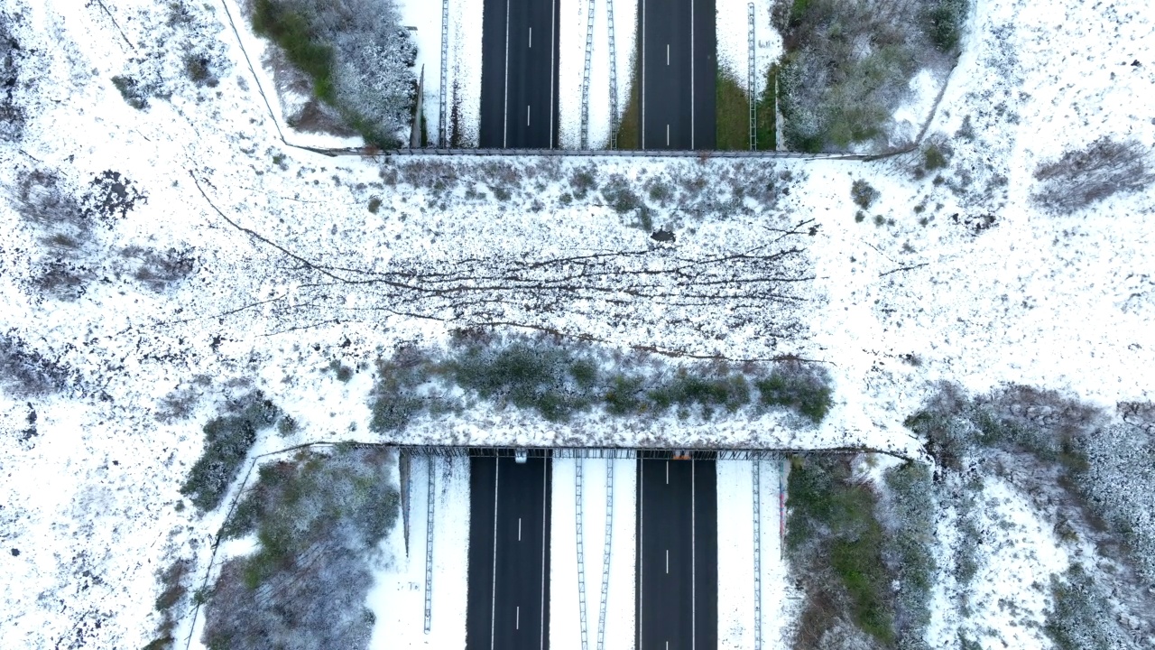 野生动物立交桥穿过雪原森林的高速公路视频下载