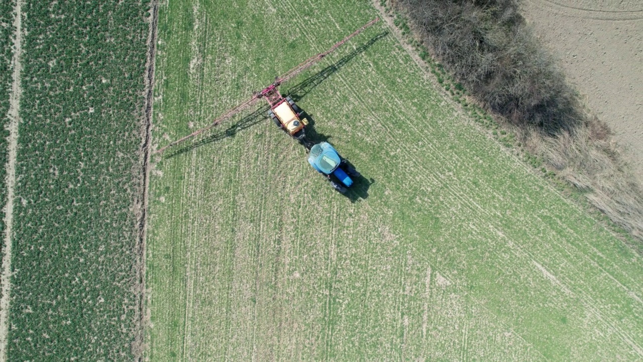拖拉机在早春时节喷洒害虫。除草机:在麦田里喷洒杂草的机器视频下载