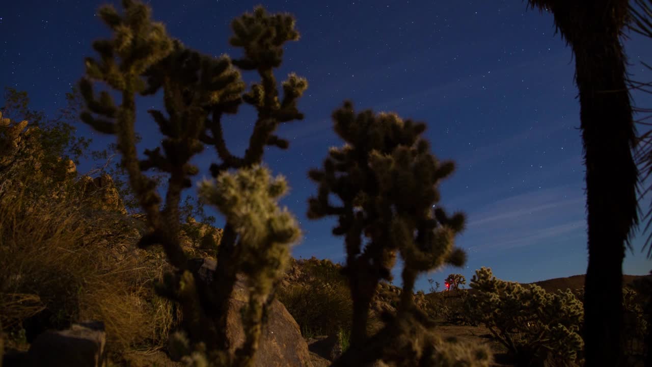 沙漠仙人掌夜空星星轨迹延时4K视频素材