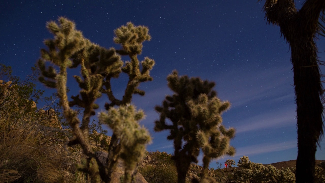 沙漠仙人掌夜空延时星星4K视频素材