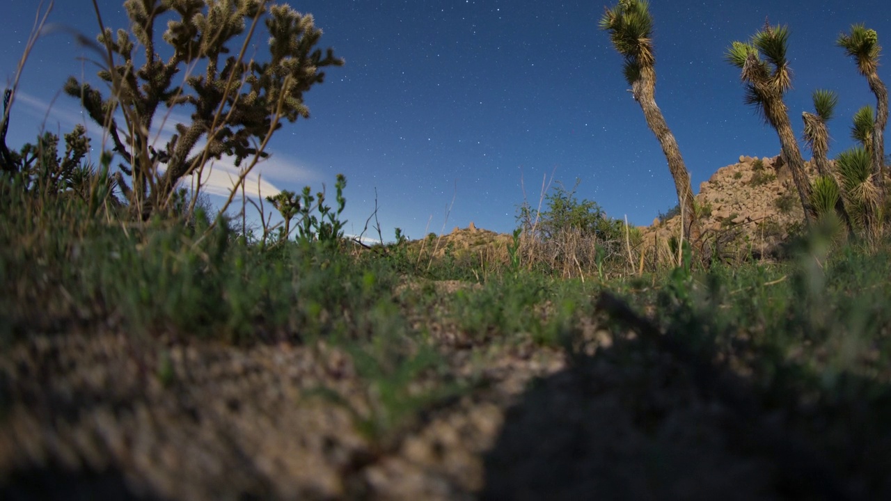沙漠夜空全景月光4K延时视频素材