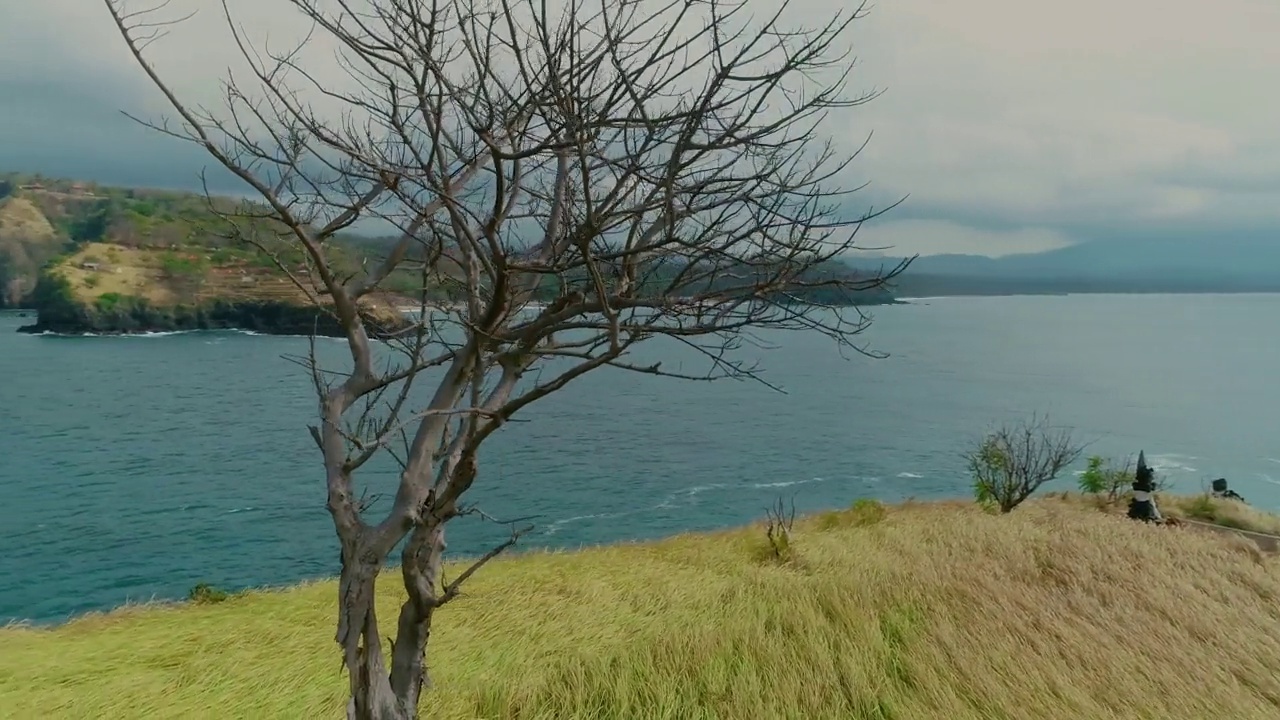 空中轨道拍摄的小独特的热带岛屿与一棵树。4 k视频素材