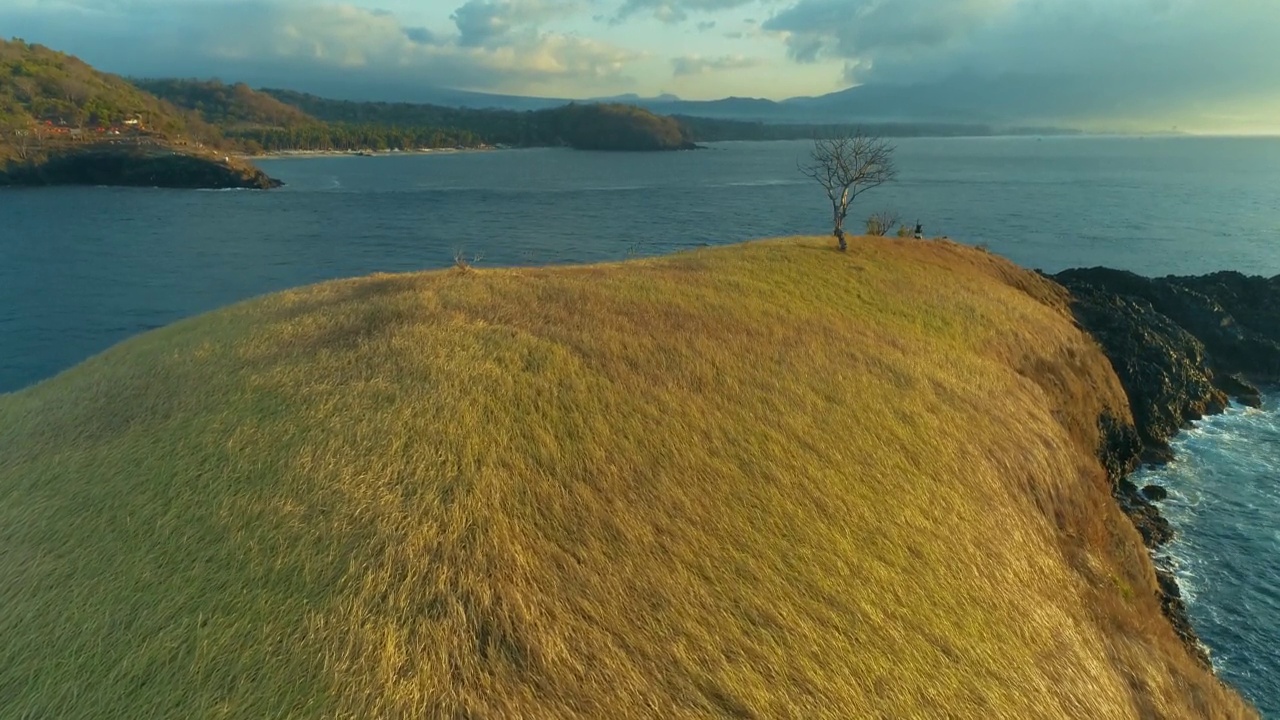 这是一个只有一棵树的热带小岛的航拍画面视频素材