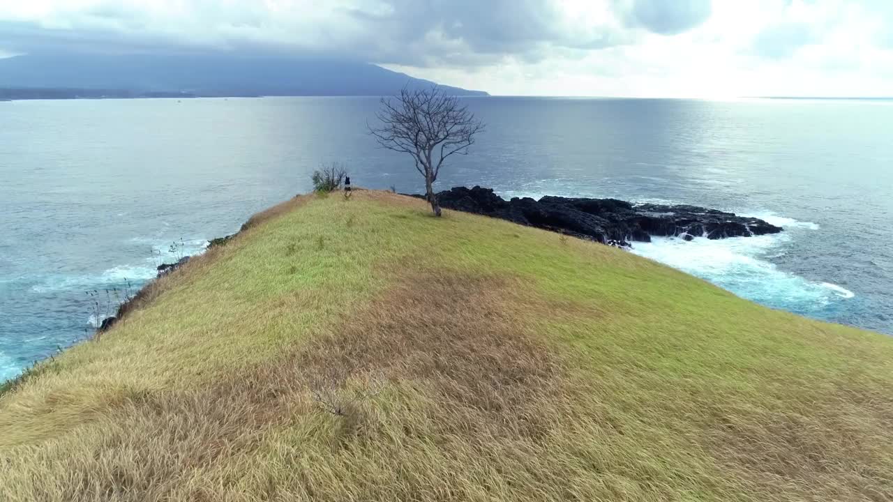 这是一个独特的热带小岛，只有一棵树和天然的海水喷泉视频素材