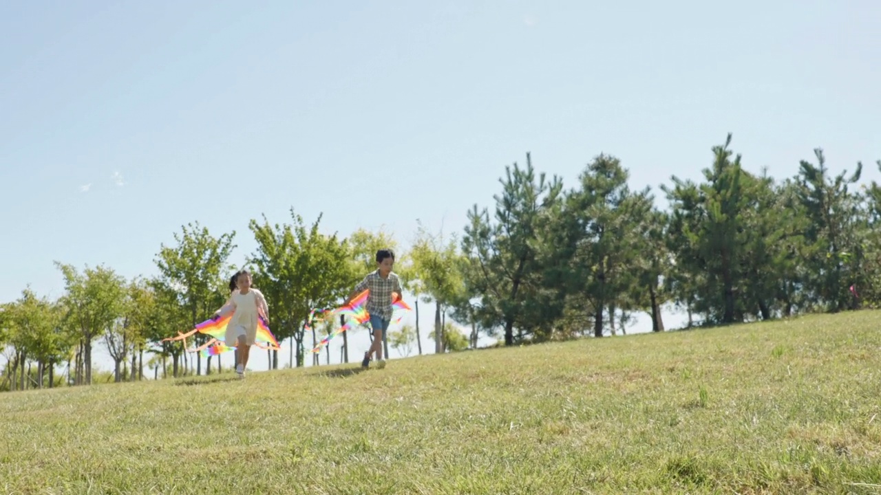 快乐的孩子们在草地上和风筝奔跑，4K视频素材