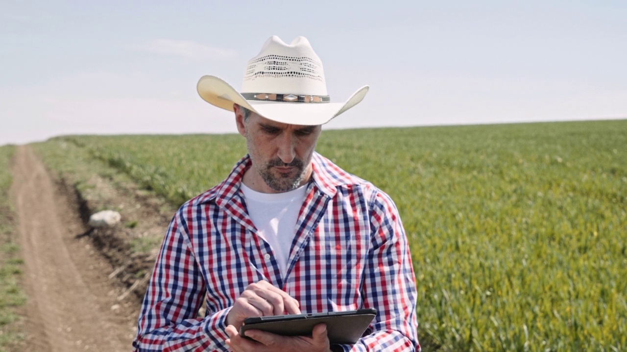 农民用数字平板检查小麦作物。视频素材