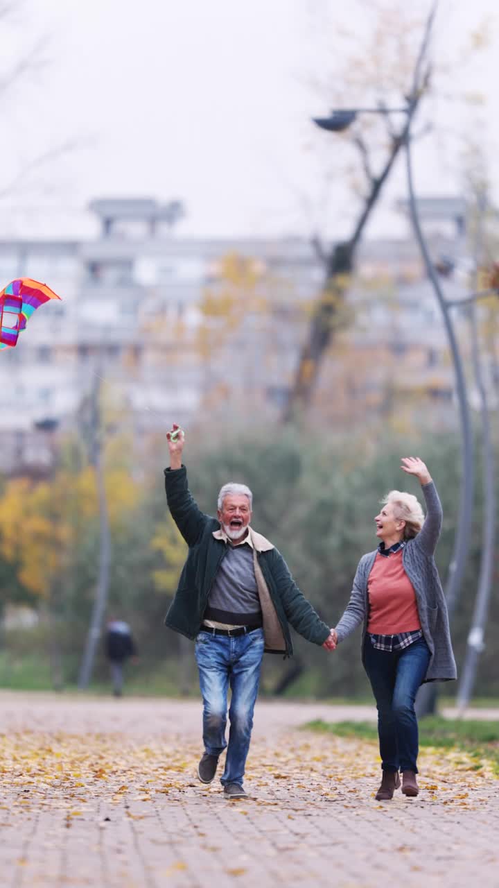 兴高采烈的老年夫妇在公园里放风筝奔跑的垂直视频视频素材