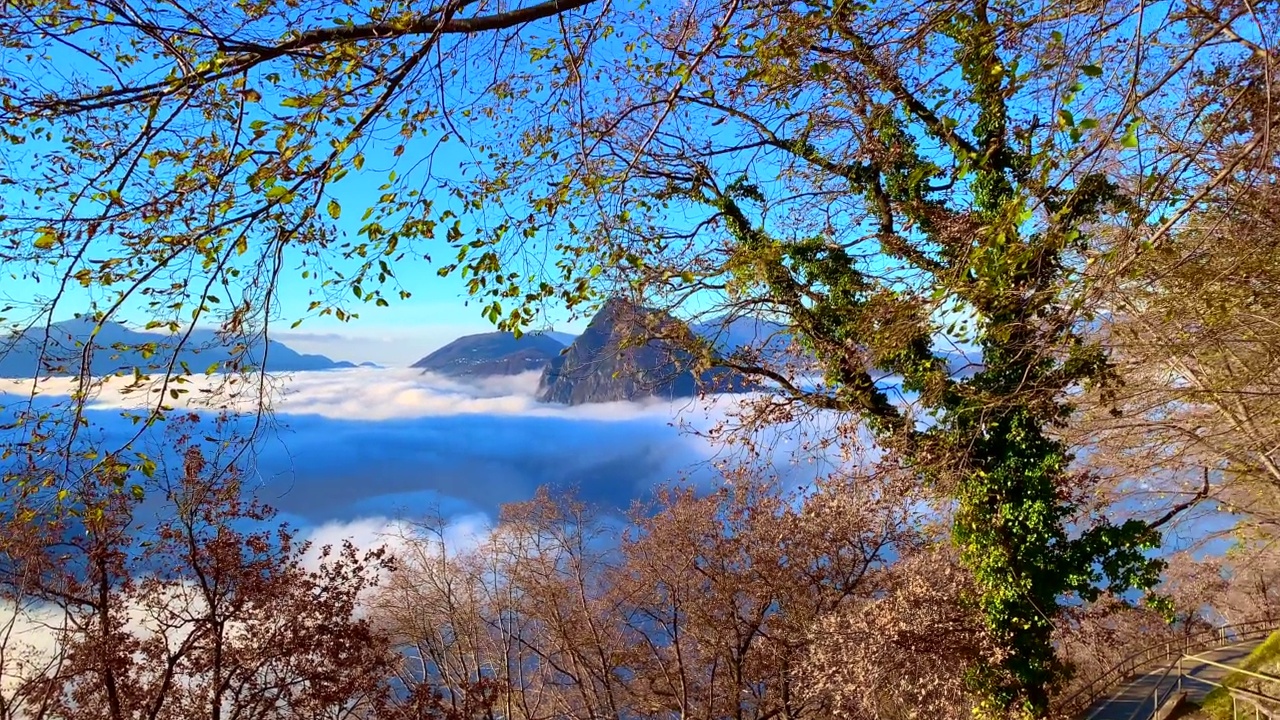 高寒的卢加诺湖全景云海和山与树在一个晴朗的秋日视频下载