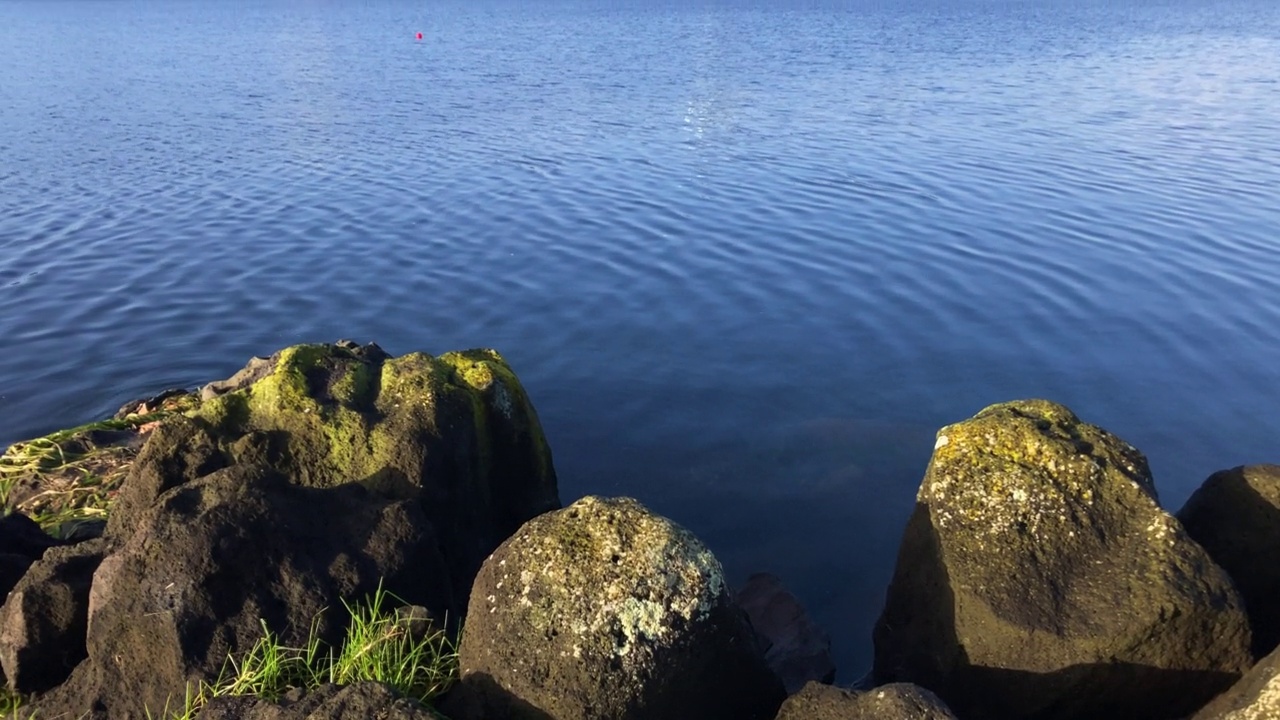 Pupuke湖在北岸城市，奥克兰，新西兰视频下载