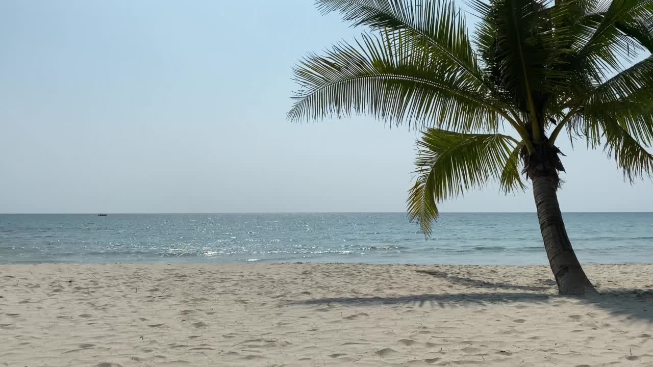 世界上最美丽的海滩。巴哈马棕榈滩景观。视频下载