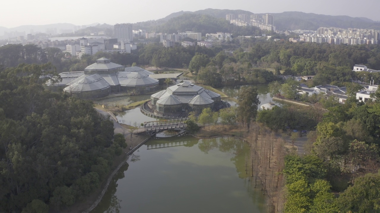 华南植物园视频素材