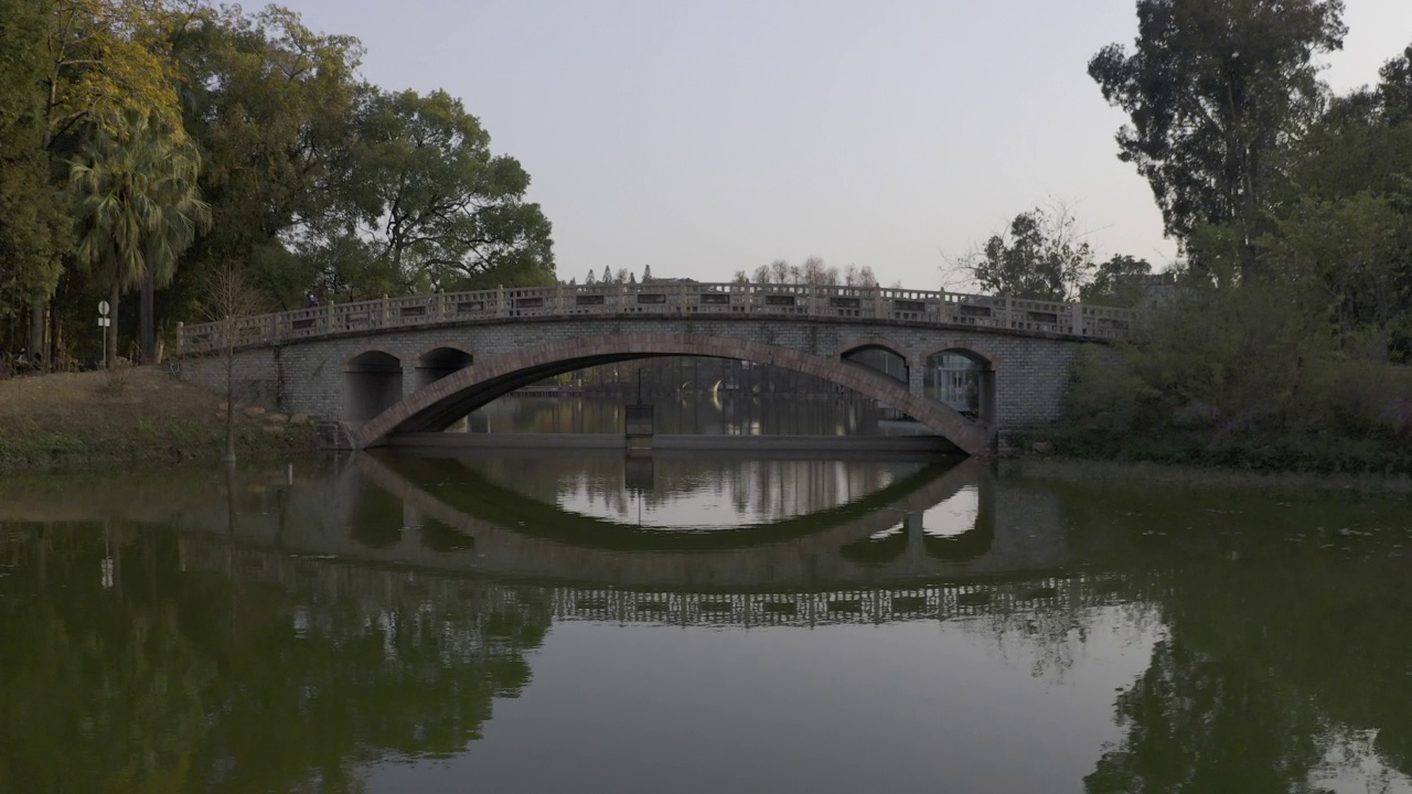 华南植物园视频素材