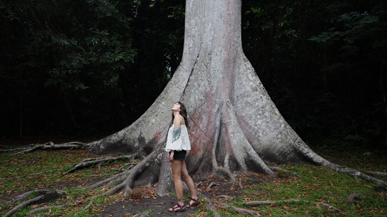 热带雨林中一名妇女站在一棵大树下视频下载