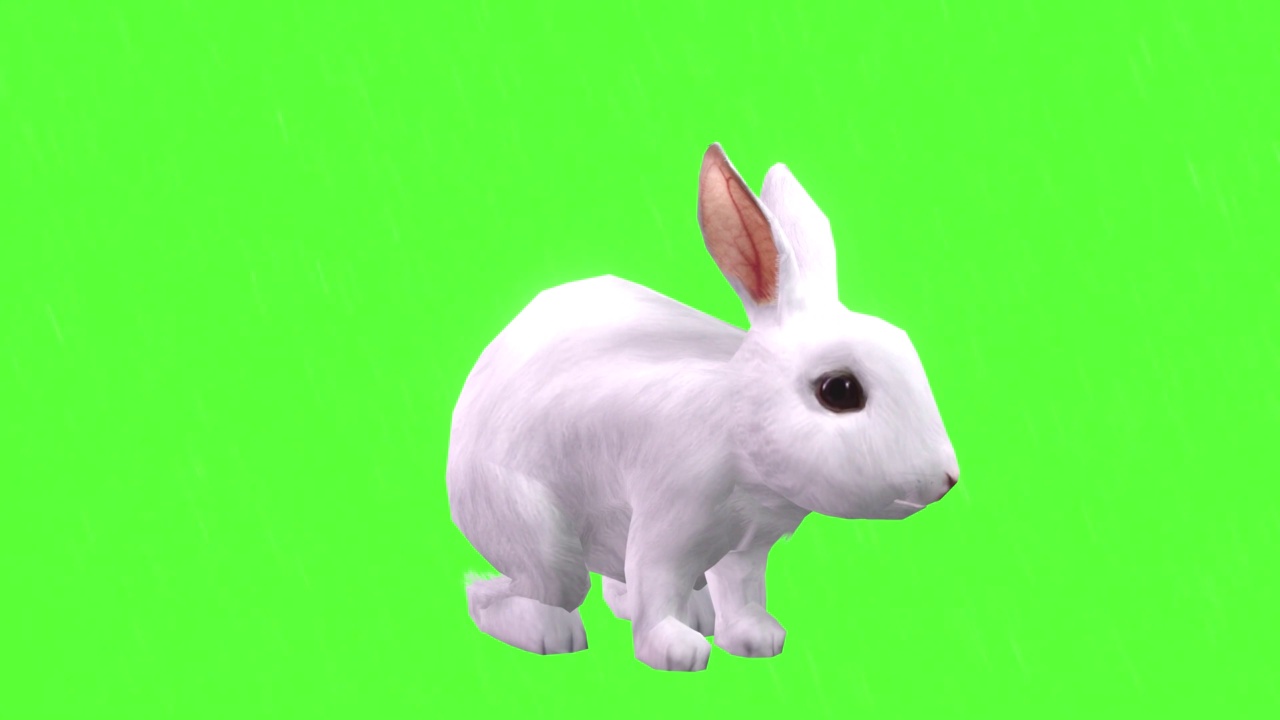 兔子看着绿屏幕视频下载