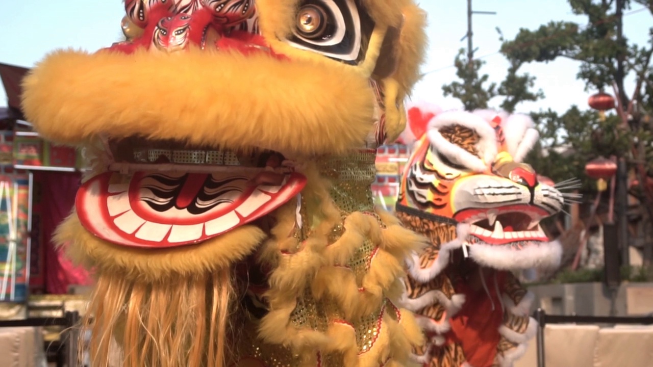 中国狮子表演，农历新年庆祝活动，慢动作。视频下载