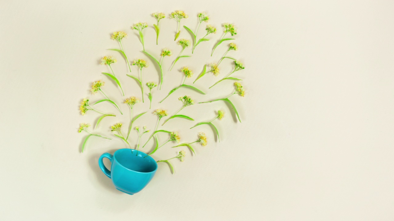美丽的艺术构图菩提树花从一个蓝色的杯子溢出。茶时间、天然花草茶的概念。视频下载