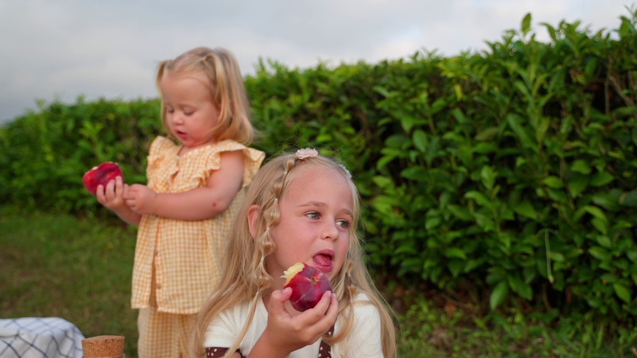 孩子们在家庭野餐上吃水果视频素材