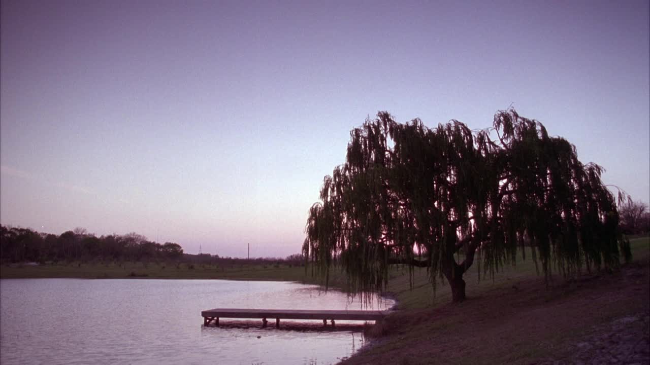 湖中或池塘垂柳中角，前景入水的码头。橘黄色的太阳在柳树后面发光视频素材
