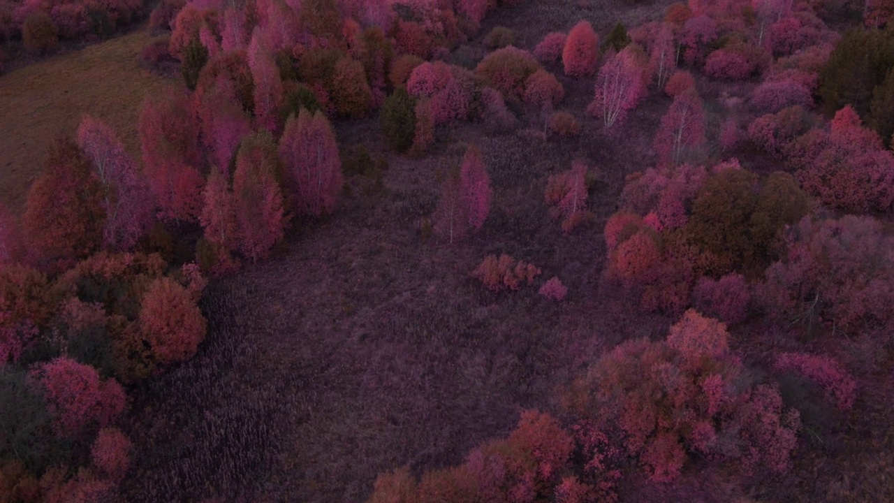 秋天的乌拉尔幻想红色森林视频下载