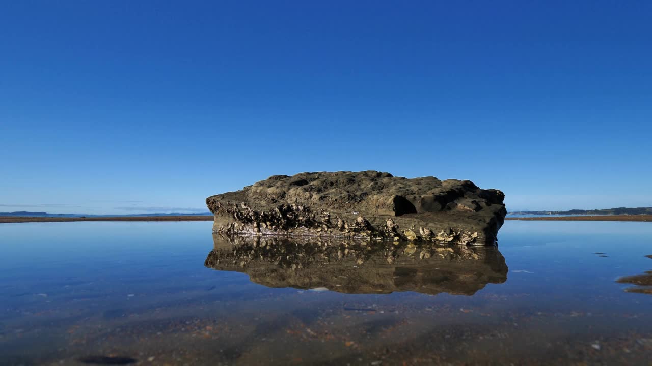 新西兰奥克兰北岸美丽的海岸线视频素材