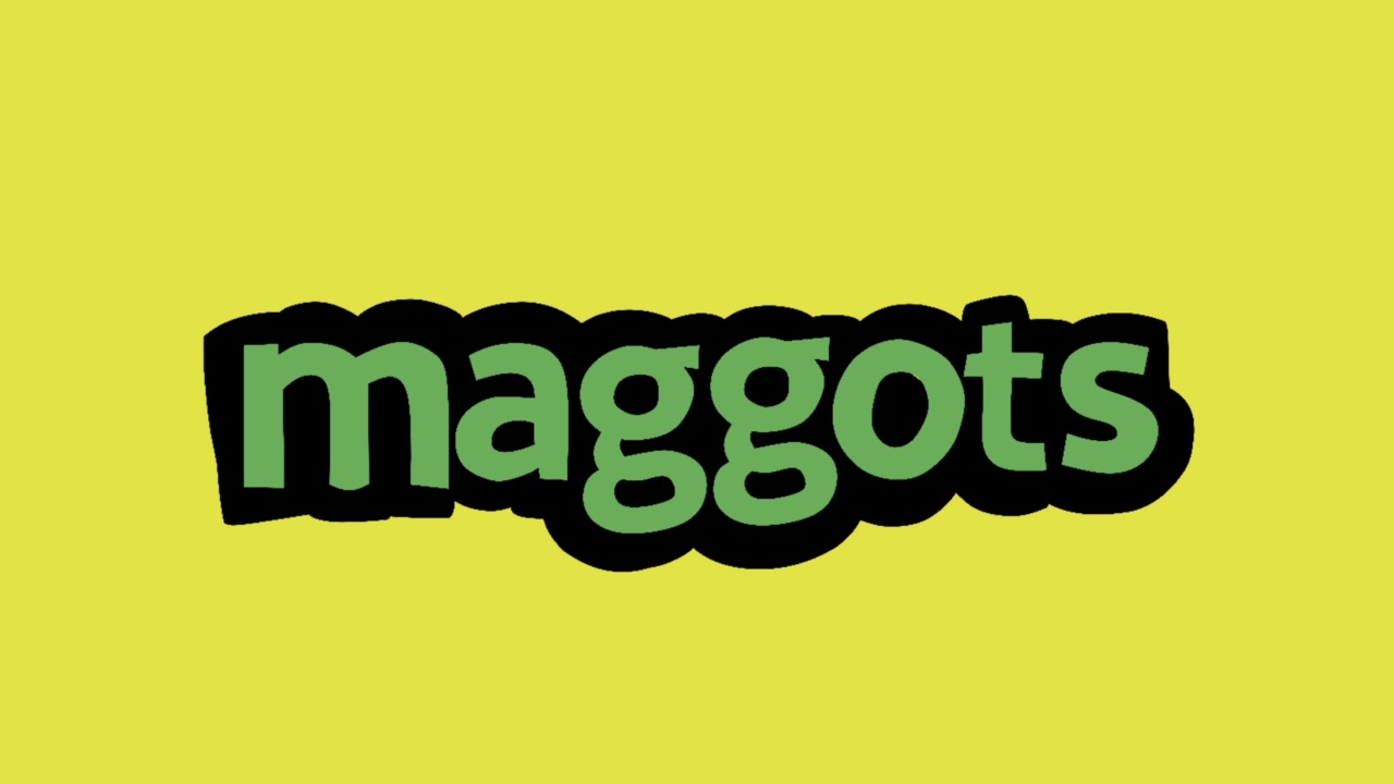 黄色屏幕动画视频写MAGGOTS视频素材