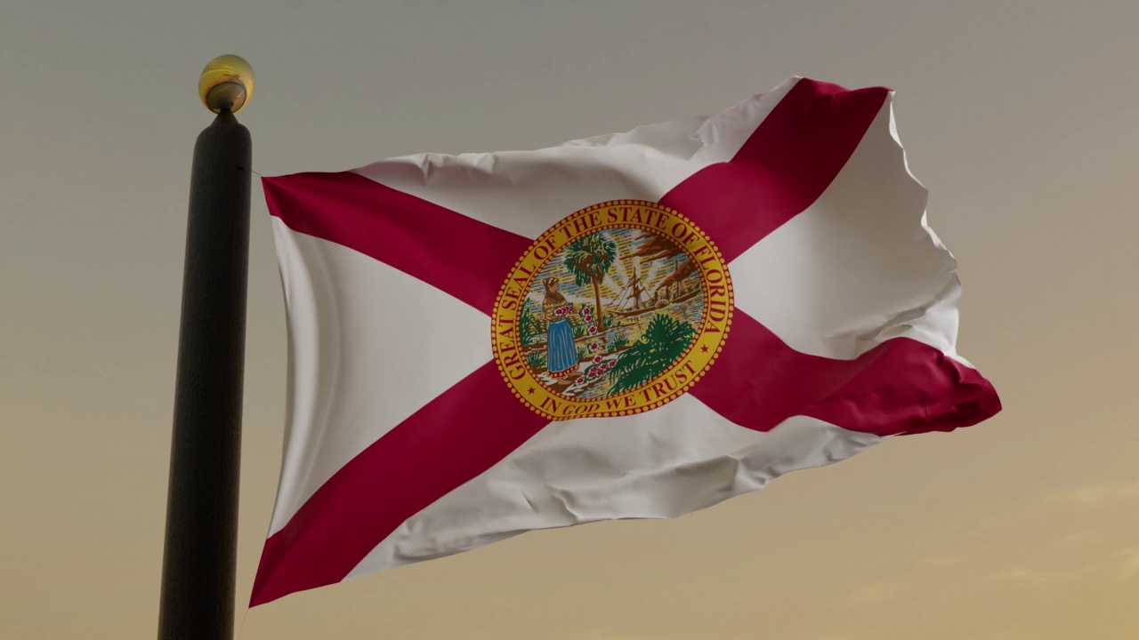 美国佛罗里达州的国旗视频素材